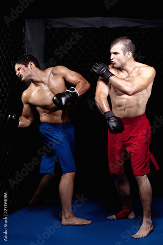 Mixed martial artists fighting © Nicholas Piccillo