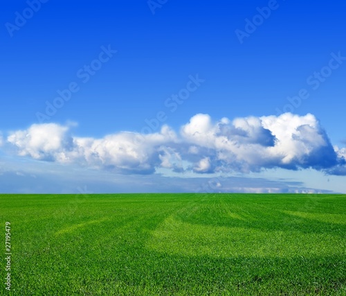 green wheat field under a clouds © Yuriy Kulik