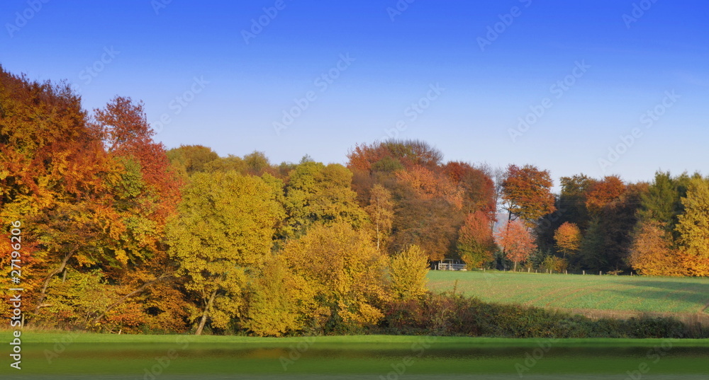 Herbstlandschaft