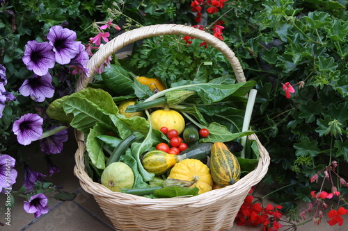 panier de légumes bio