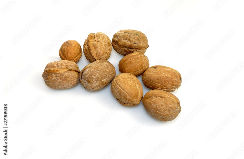 Noci Noci