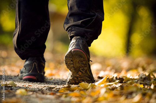 Hiking in autumn forest © blas