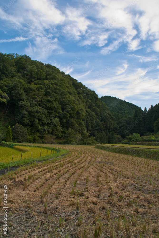 A recently-harvested rice field in rural Japan