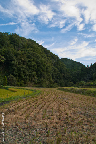 A recently-harvested rice field in rural Japan