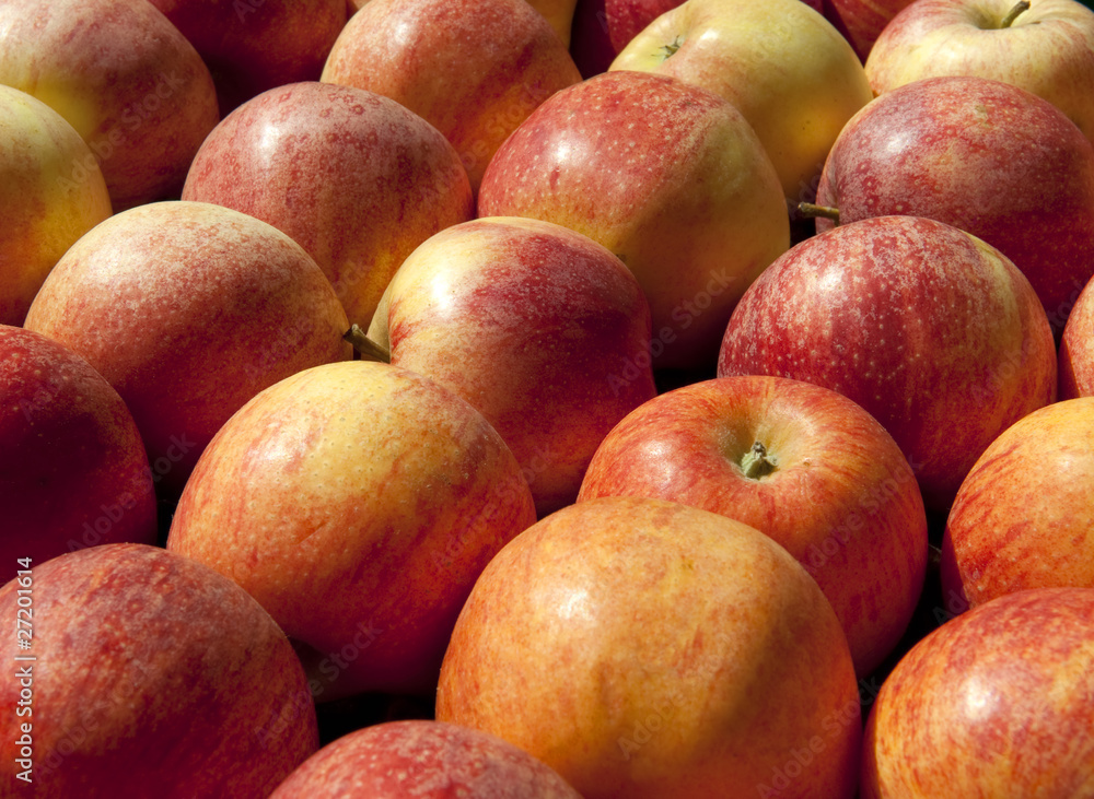 appels appels