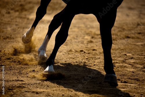 Fototapeta Naklejka Na Ścianę i Meble -  Horse galloping on the sand