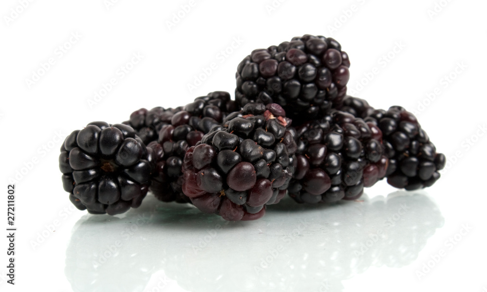 blackberry blackberry