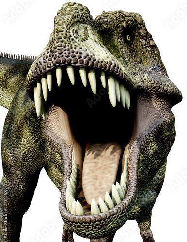 tyrannosaurus green defend close up photo