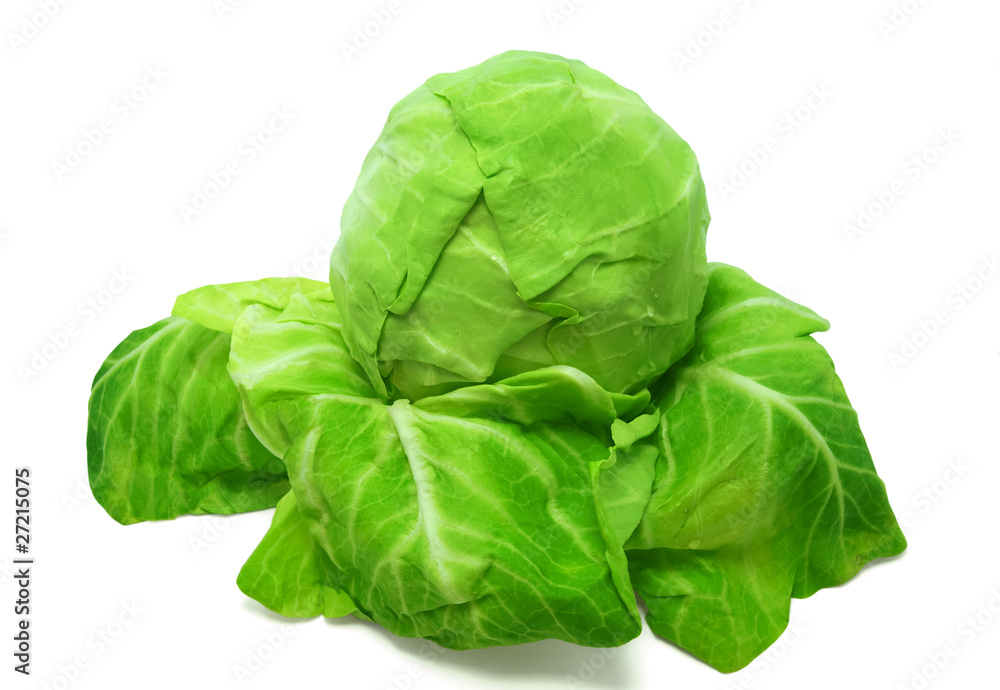 Fototapeta premium Cabbage on white background