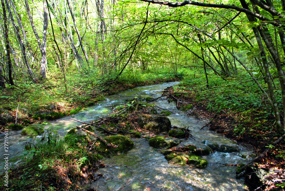 small stream