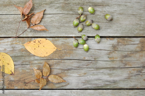 落ち葉と緑色のドングリ