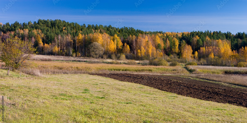 Autumn rural landscape