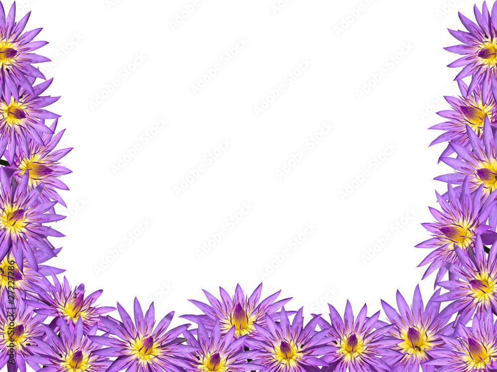 Lotus flower Lotus flower