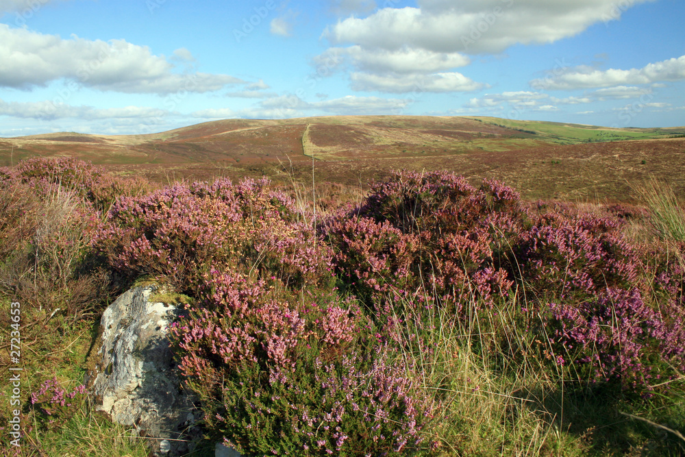 View over moorland to Hamel Tor, Dartmoor