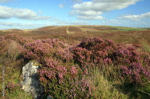 Obraz na płótnie View over moorland to Hamel Tor, Dartmoor w salonie