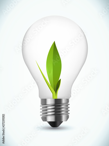 bulb ecology concept