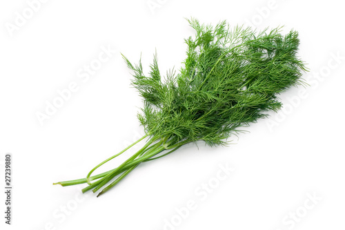 Dill isolated on white