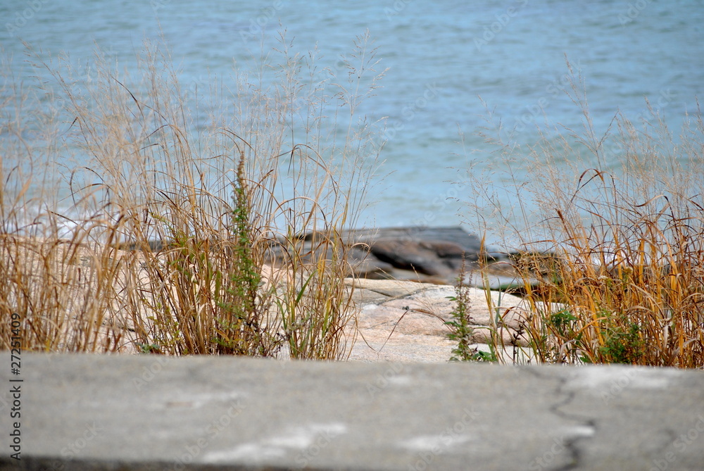 Fototapeta premium Close-Up at the Beach