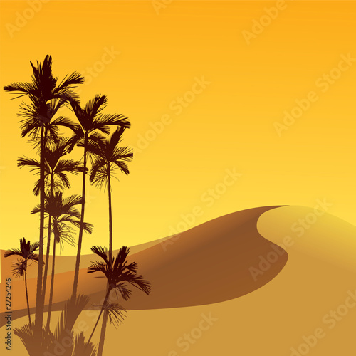 Sand dune and palm