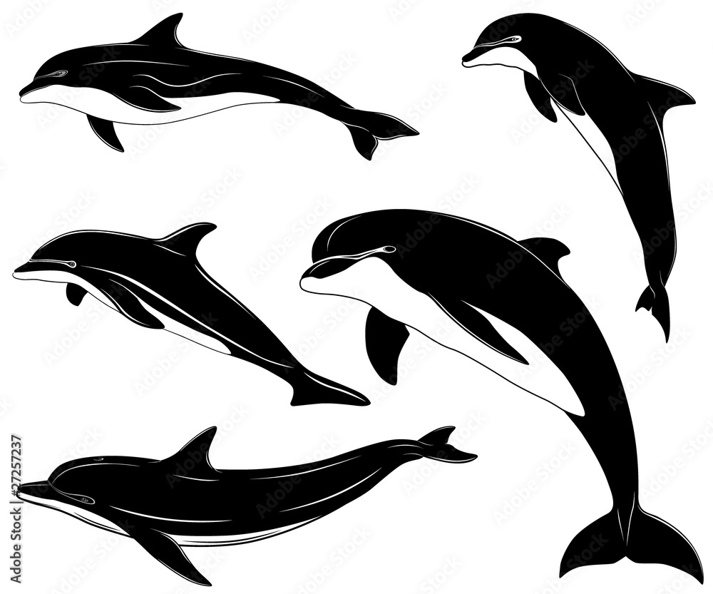 Naklejka premium Zbiór różnych delfinów, tatuaż