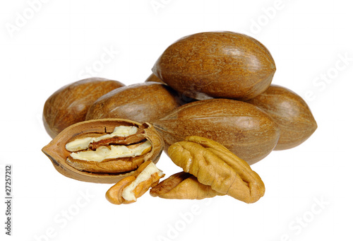 Pecannuss - pecan nut 05