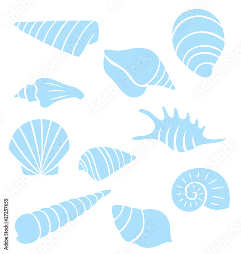 Sea Shells Collection