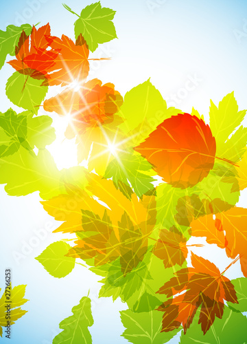 autumn background