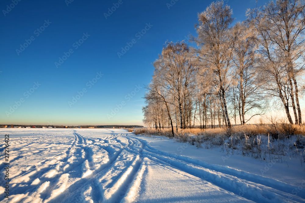 Winter field under blue sky