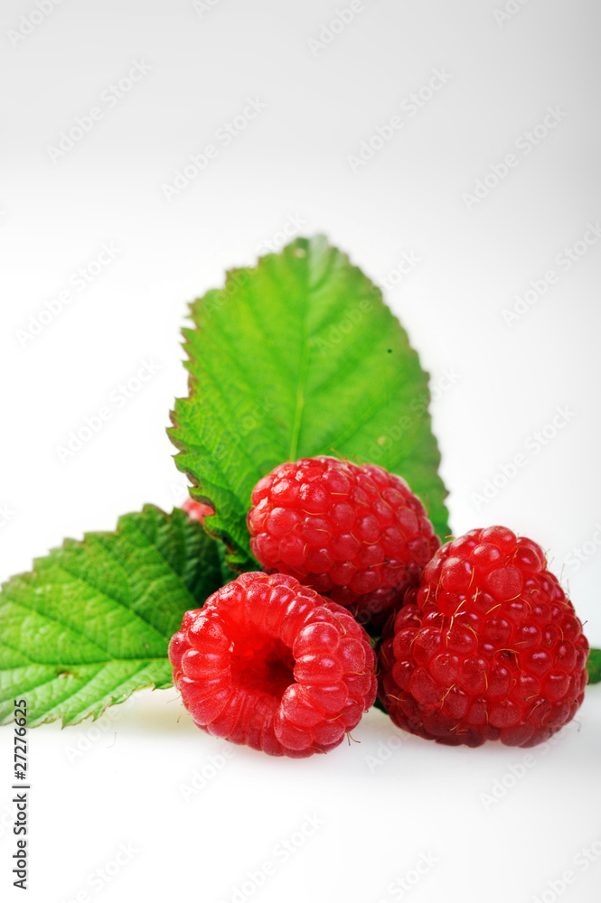 Ripe red raspberries Ripe red raspberries