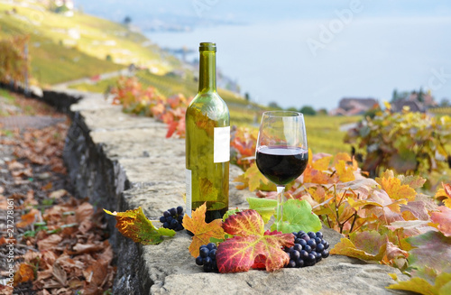 Fototapeta Naklejka Na Ścianę i Meble -  Glass of red wine. Lavaux region, Switzerland