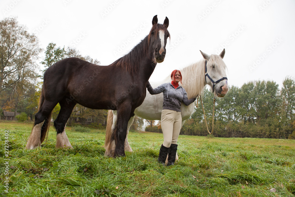 Φωτογραφία Woman with two shire horses