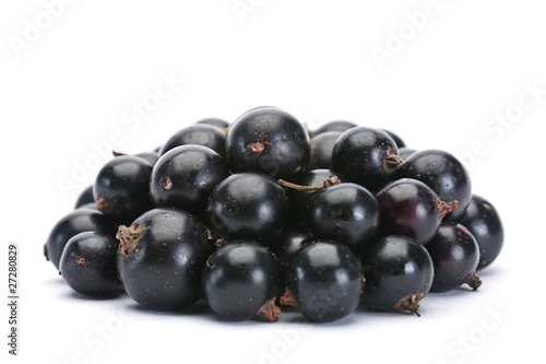 Black currant berry