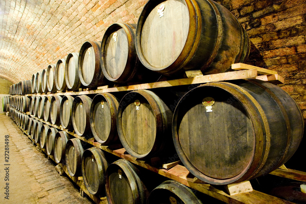 wine cellar, Czech Republic