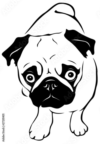 Pug