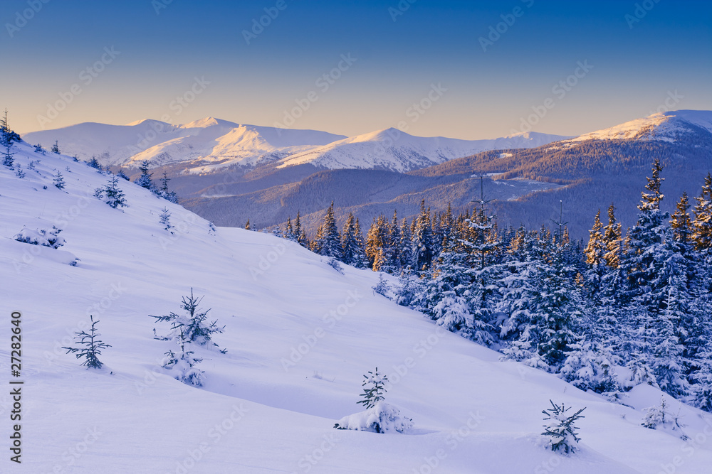 Fototapeta premium winter
