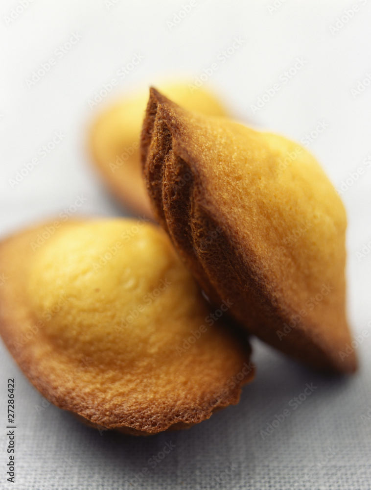 Foto de Madeleines do Stock Adobe Stock