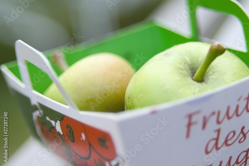 Pommes jeunes en barquette photo