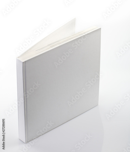 The book with a white cover