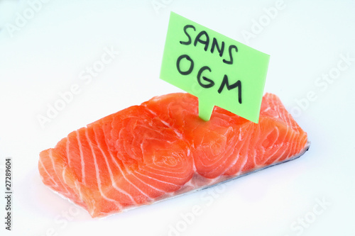 Pavé de saumon sans OGM photo