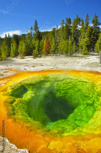 Morning Glory Thermal Pool. Yellowstone National Park, Wyoming
