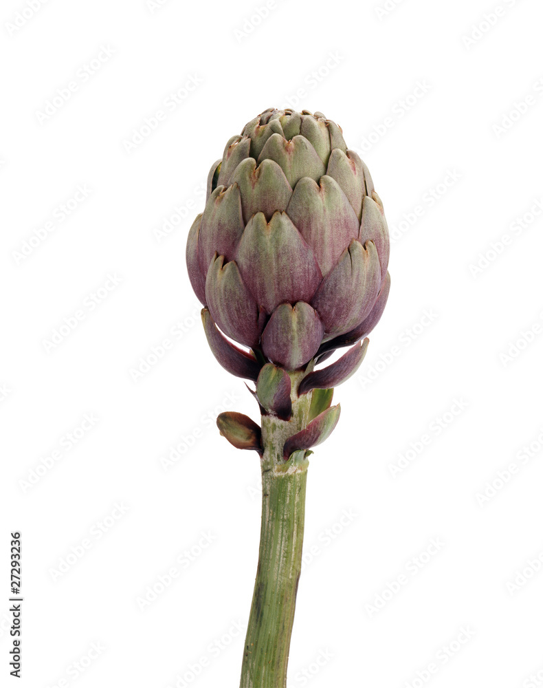Fototapeta premium Artichaut détourable