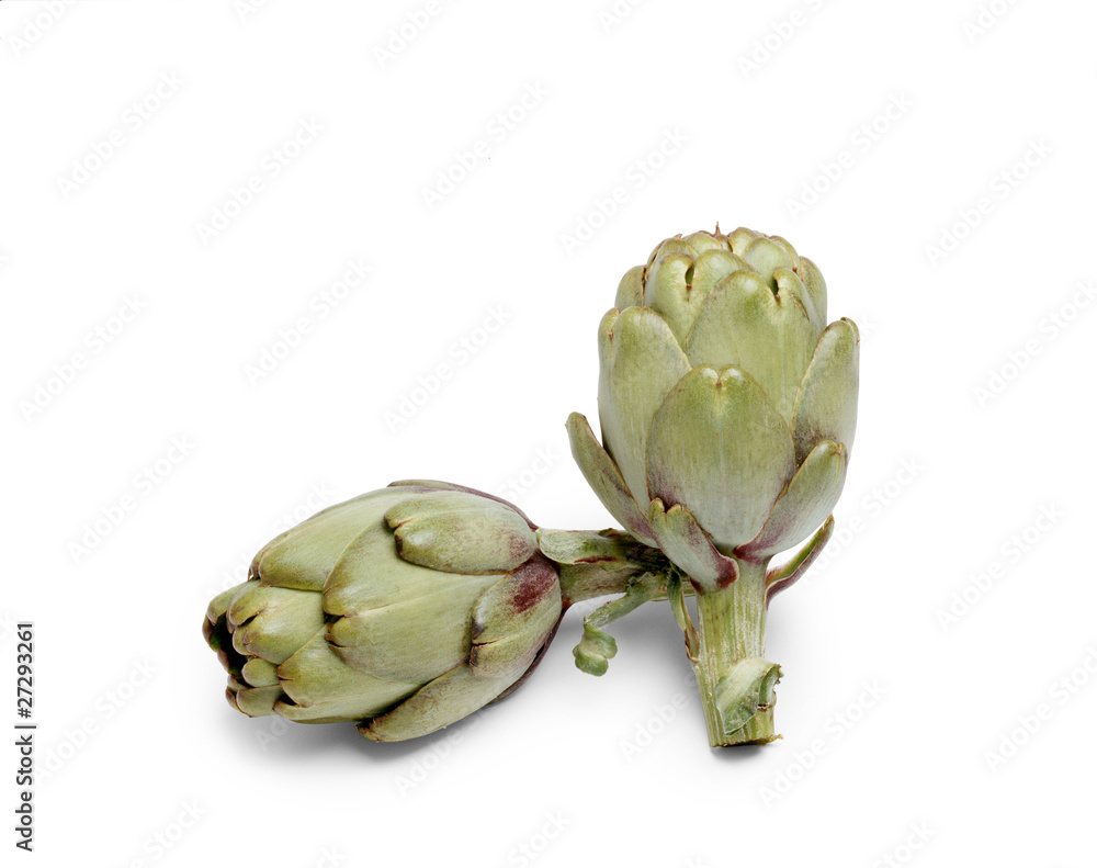 Obraz premium Artichauts détourables