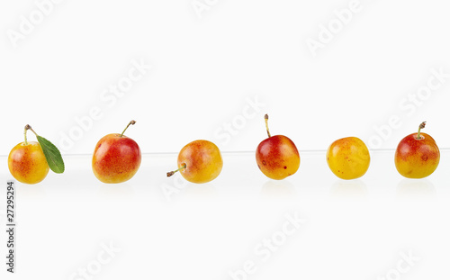 Composition de mirabelles
