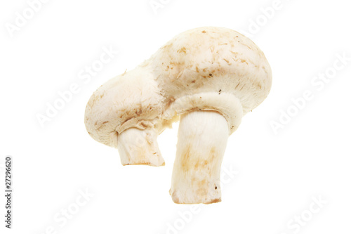 Double button mushroom