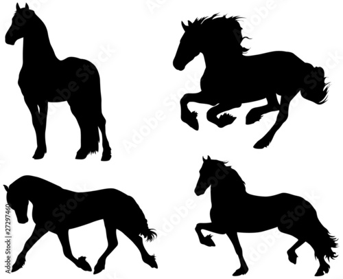 Frisian Horse
