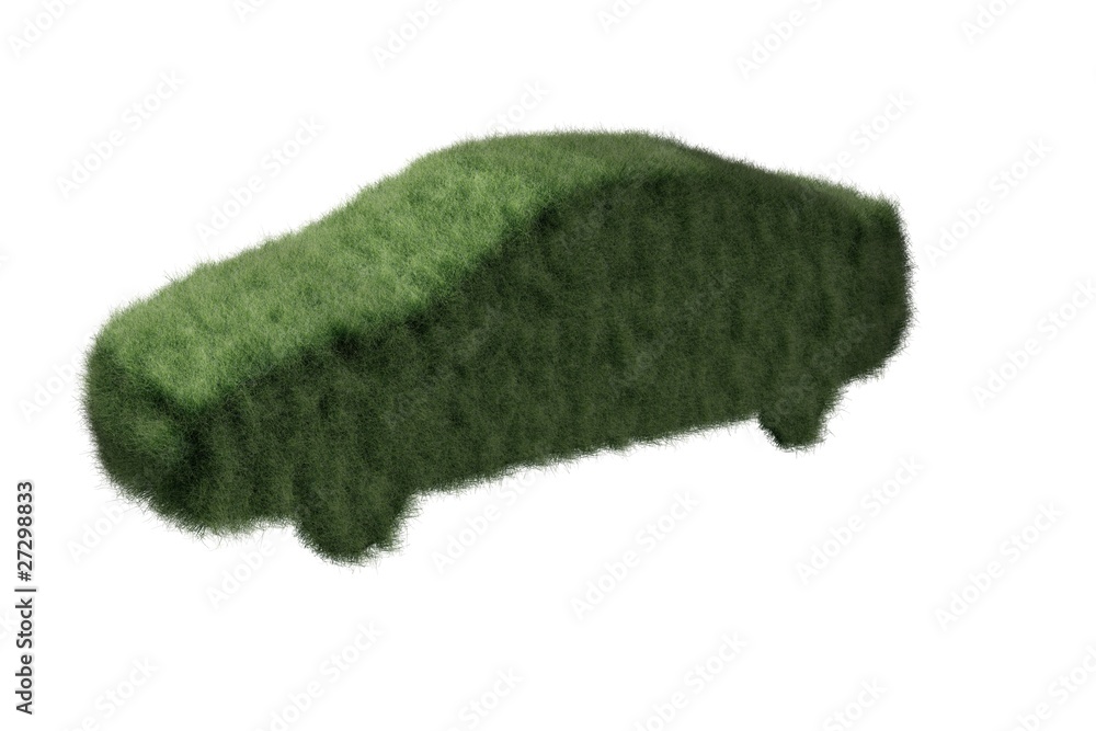 Fototapeta premium Auto aus Gras