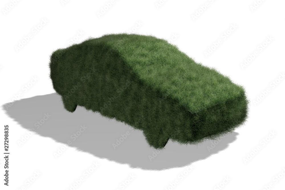 Auto aus Gras Auto aus Gras