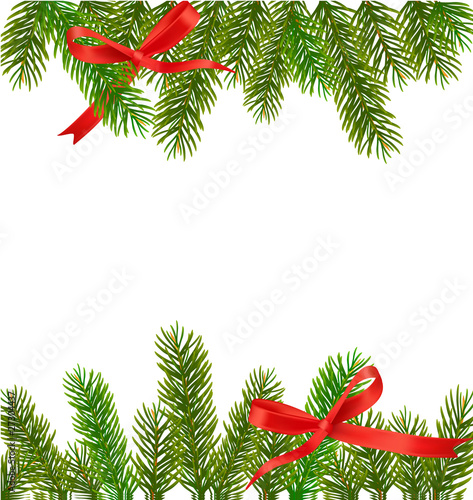 Christmas tree branches. Vector