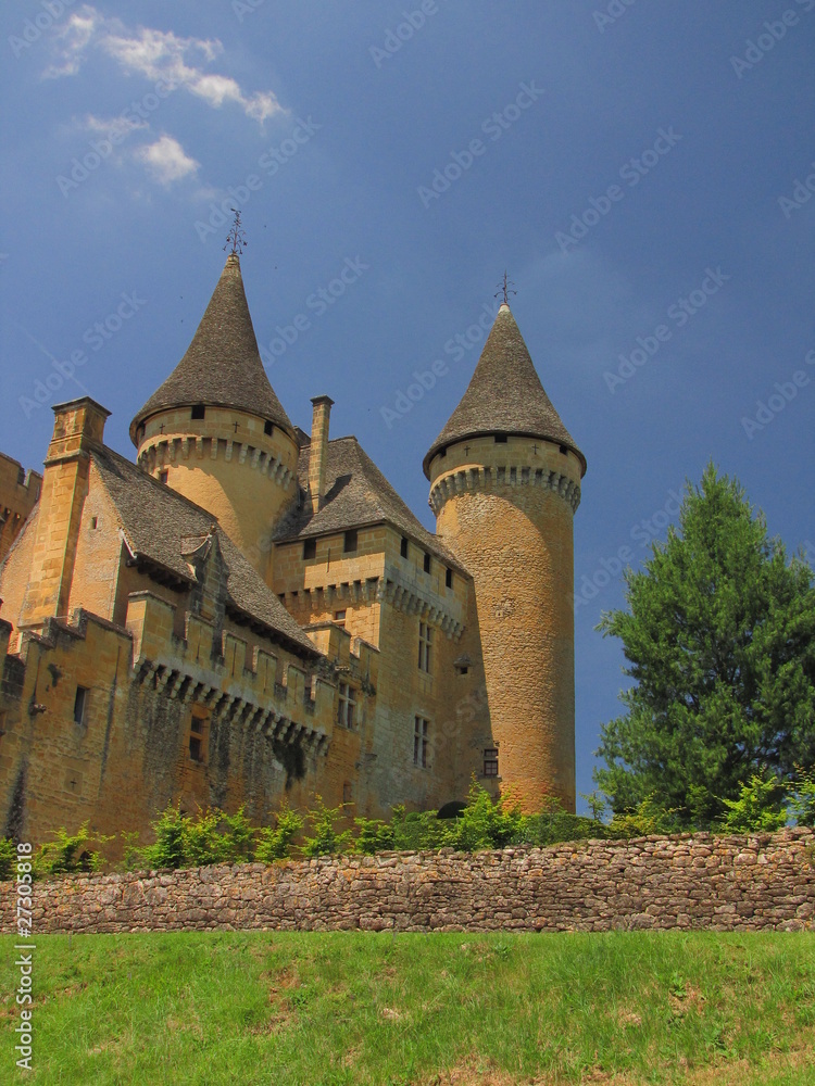 Château de Puymartin ; Périgord noir ; Aquitaine