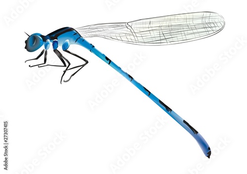 vector blue dragonfly on white background
